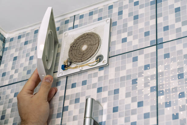 Best Local Air Duct Cleaning Services  in Fisher, IL