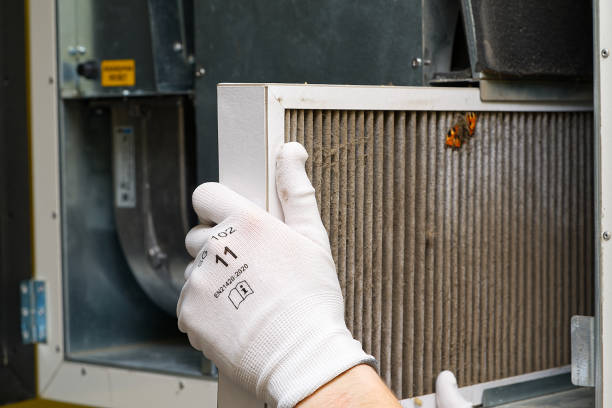 Best Affordable Air Duct Cleaning  in Fisher, IL